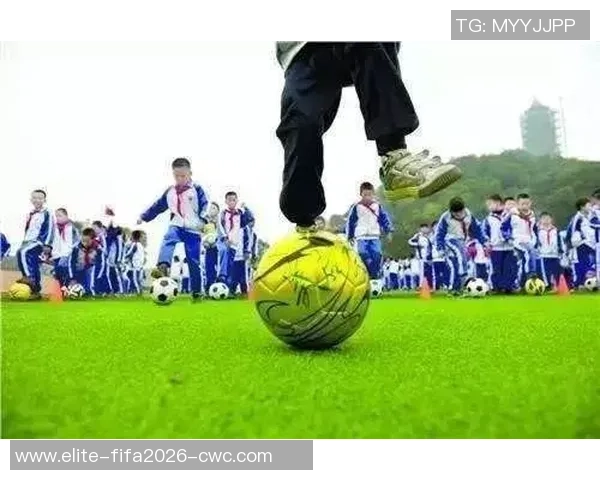 某长方形足球场的设计理念与实际应用探讨及其对青少年体育发展的影响分析