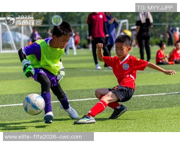 足球二选一的魅力与挑战你会选择哪一方成为球场英雄